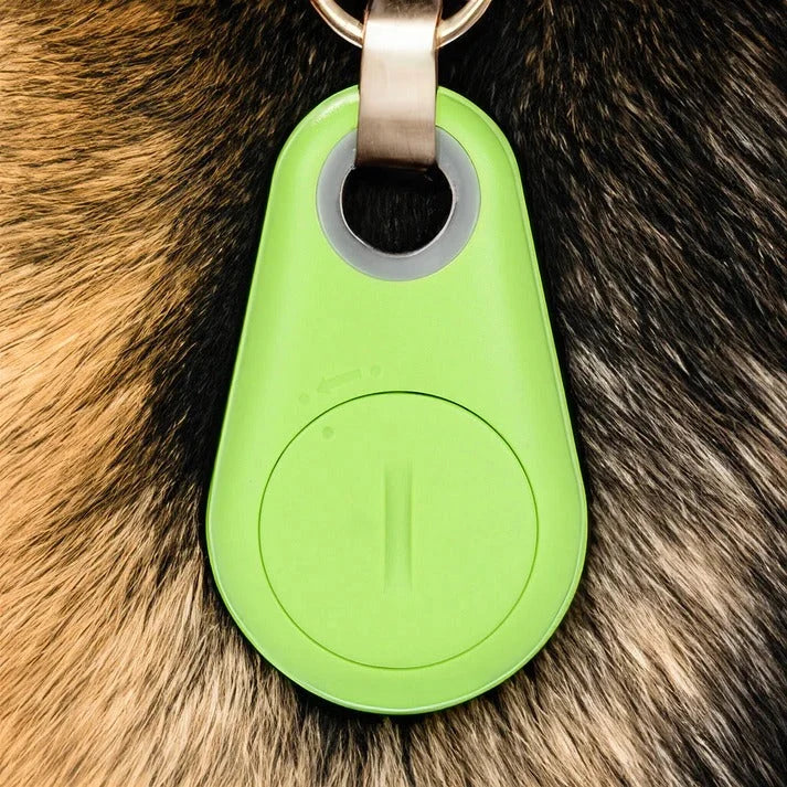 Pet Tracker Bluetooth Real-Time Location & Proximity Alerts