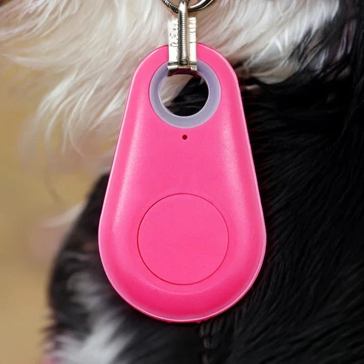 Pet Tracker Bluetooth Real-Time Location & Proximity Alerts
