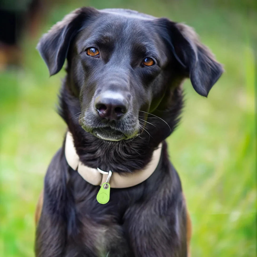 Pet Tracker Bluetooth Real-Time Location & Proximity Alerts