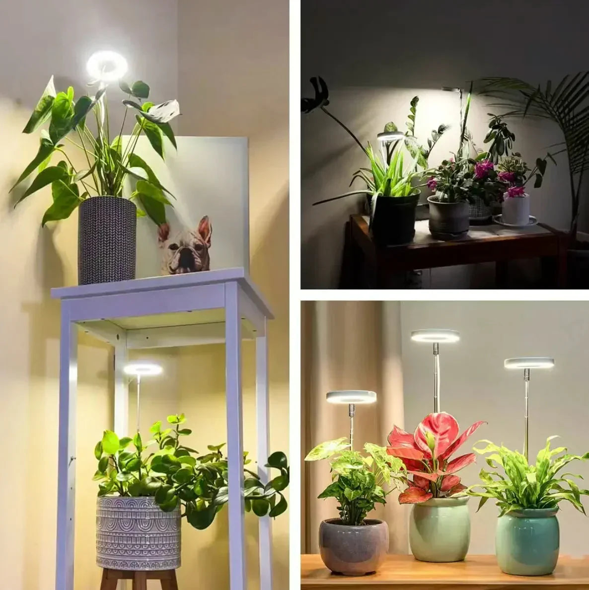 Plant Grow Light Full-Spectrum LED Adjustable Brightness Timer