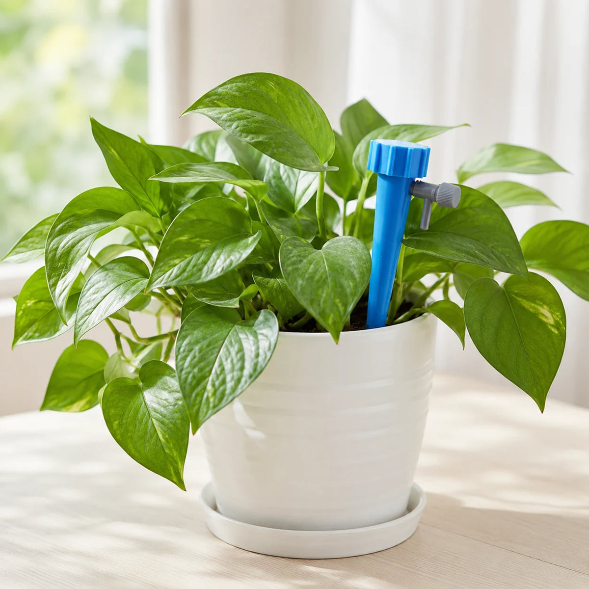 Plant Watering Spikes Slow-Release Reuses Standard Drink Bottles 2-Pack
