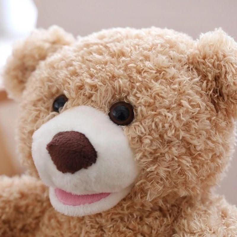 Plush Bear Interactive Peekaboo Soft & Easy-Clean