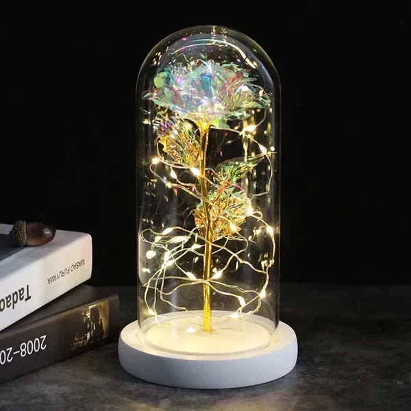 Preserved Rose Display Clear Dome LED Illuminated Base