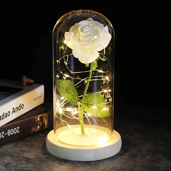 Preserved Rose Display Clear Dome LED Illuminated Base
