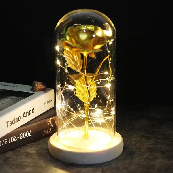 Preserved Rose Display Clear Dome LED Illuminated Base