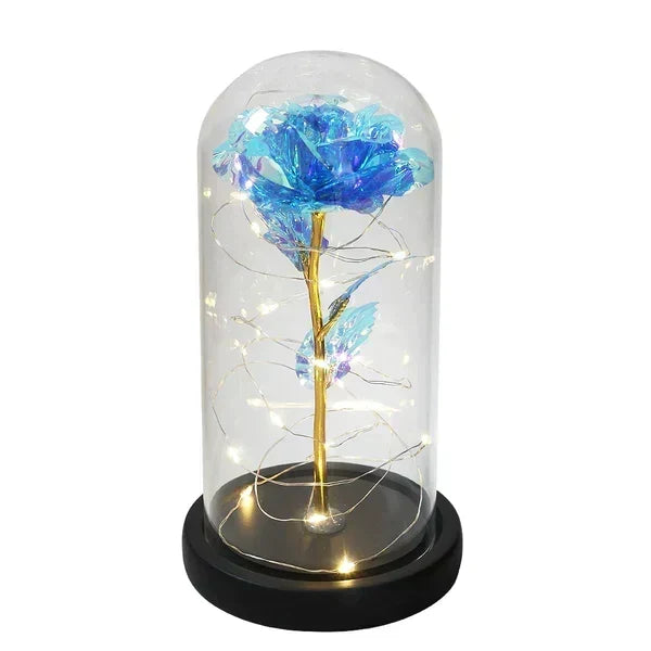 Preserved Rose Display Clear Dome LED Illuminated Base