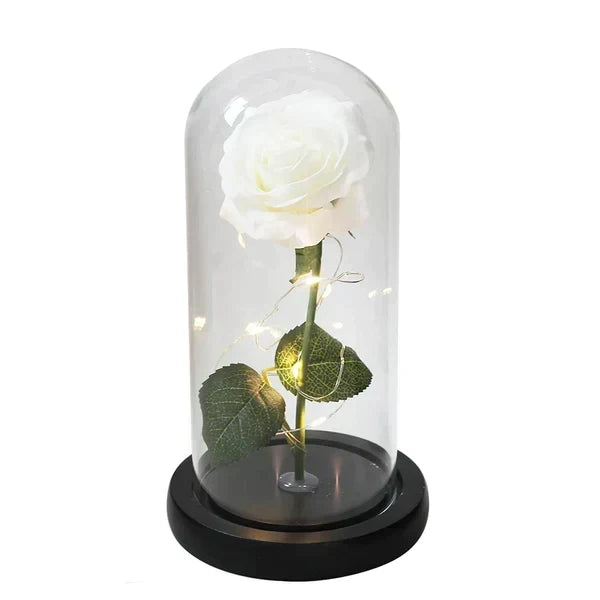 Preserved Rose Display Clear Dome LED Illuminated Base