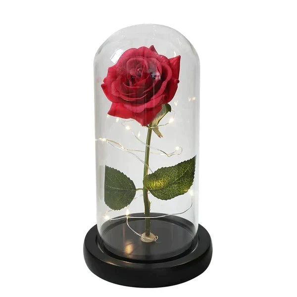 Preserved Rose Display Clear Dome LED Illuminated Base