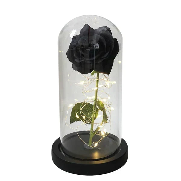 Preserved Rose Display Clear Dome LED Illuminated Base
