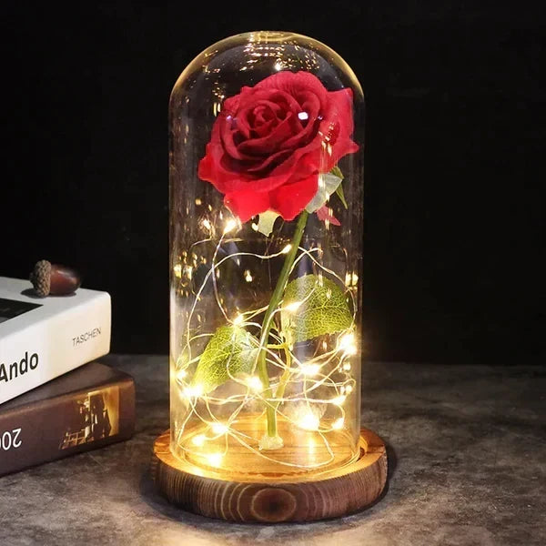 Preserved Rose Display Clear Dome LED Illuminated Base
