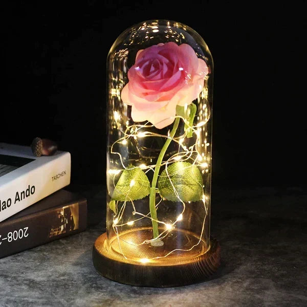 Preserved Rose Display Clear Dome LED Illuminated Base