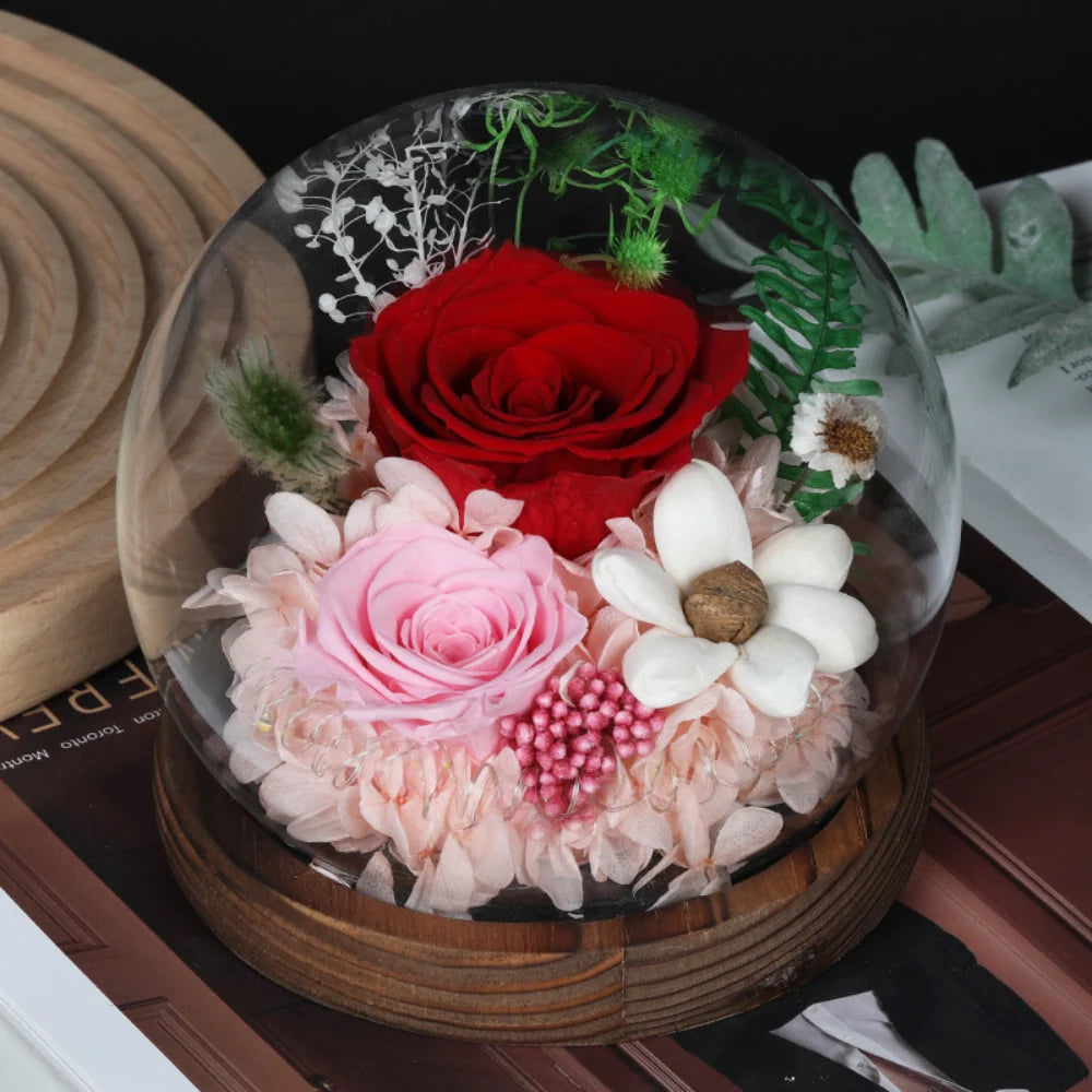 Preserved Rose Dome Warm LED & Battery Powered
