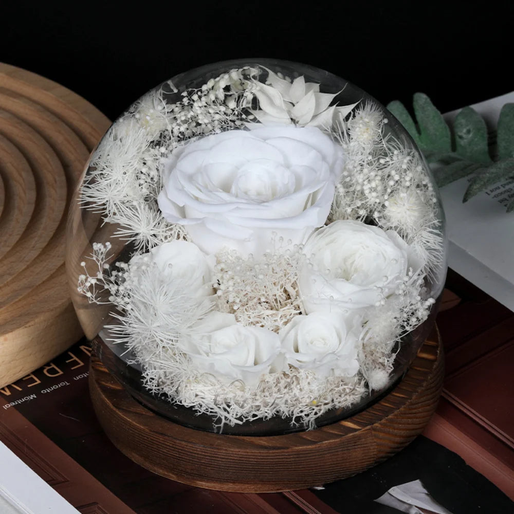 Preserved Rose Dome Warm LED & Battery Powered