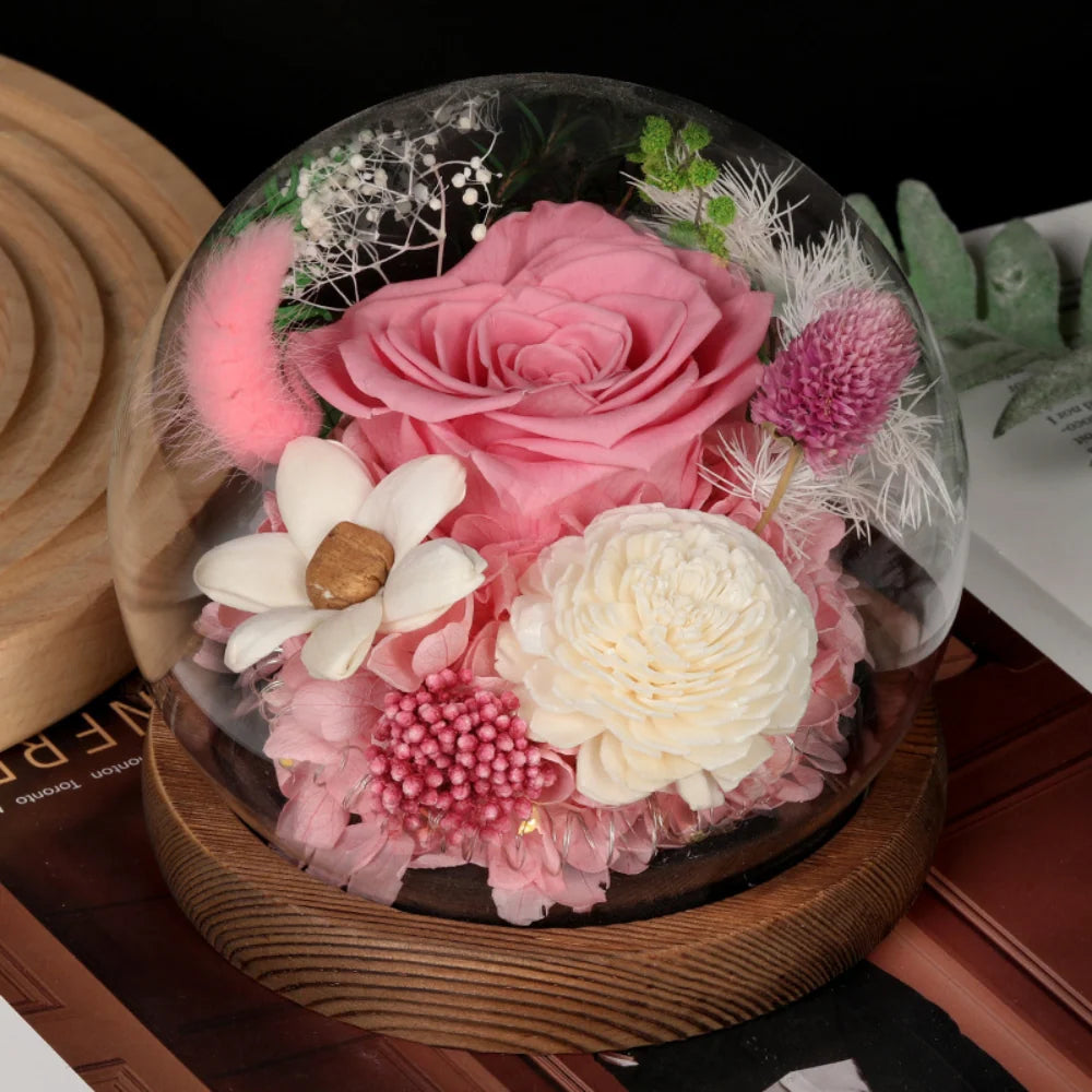 Preserved Rose Dome Warm LED & Battery Powered