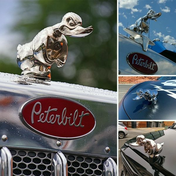 Radiator Emblem Chrome-Plated Duck Pin Mount Rubber Base