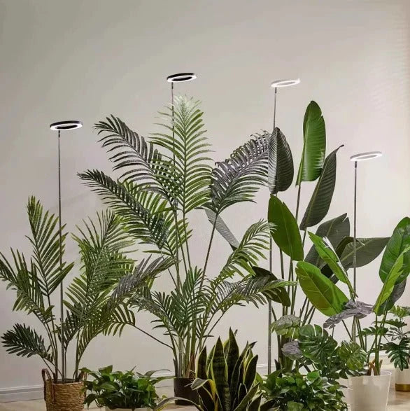 Ring Grow Light 10-Inch Full-Spectrum Telescoping Stand