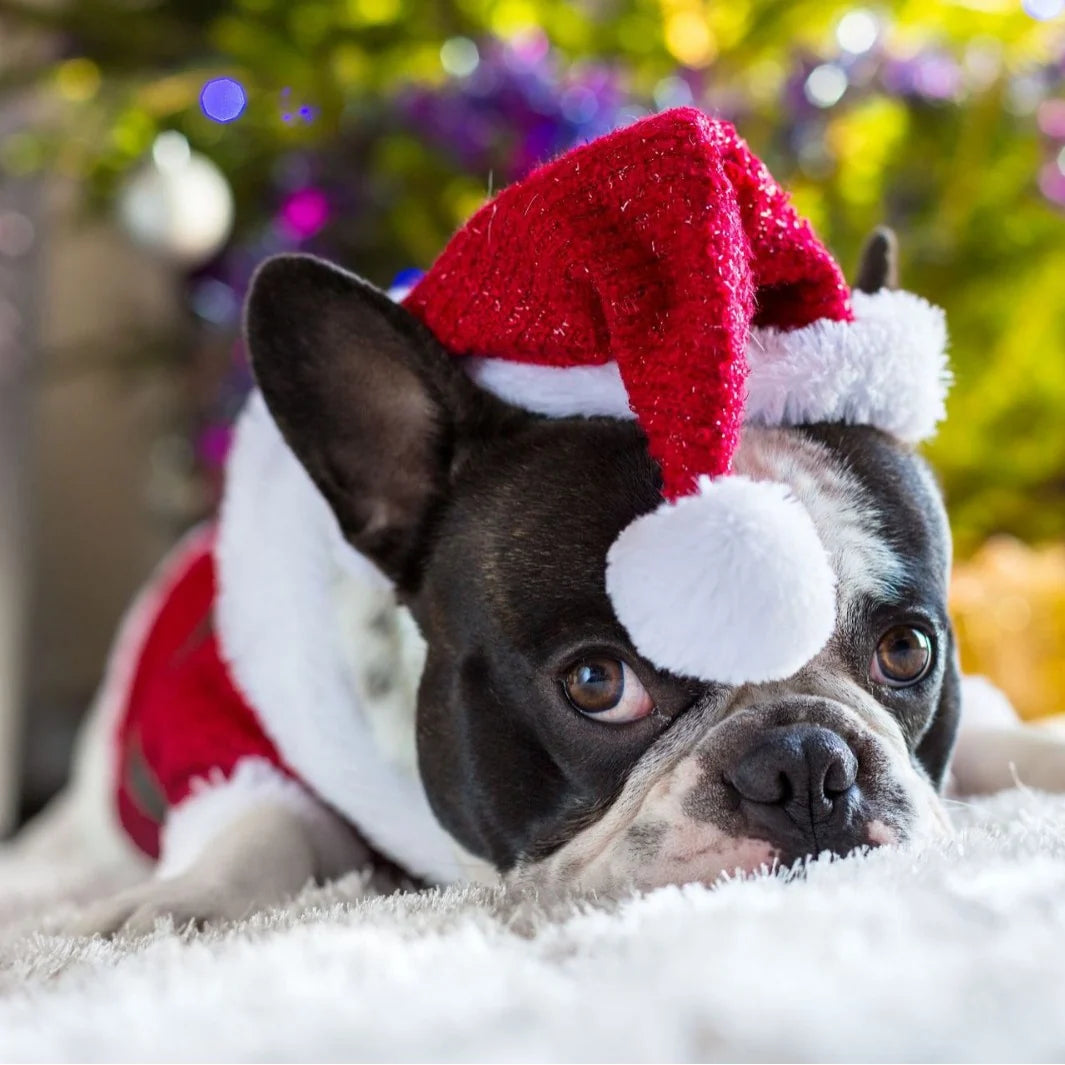Santa Hat for Dogs Plush Adjustable Fit