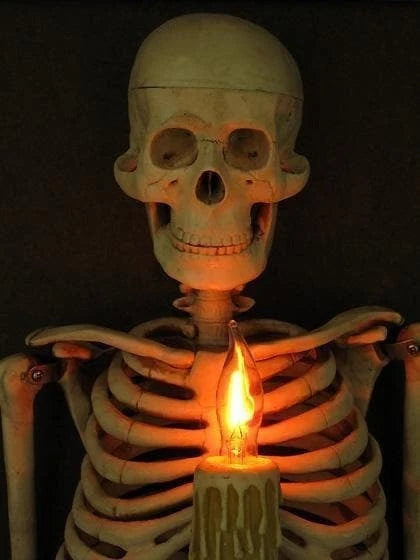 Skeleton Wall Art Framed Life-Size 3D Flickering Candle Light