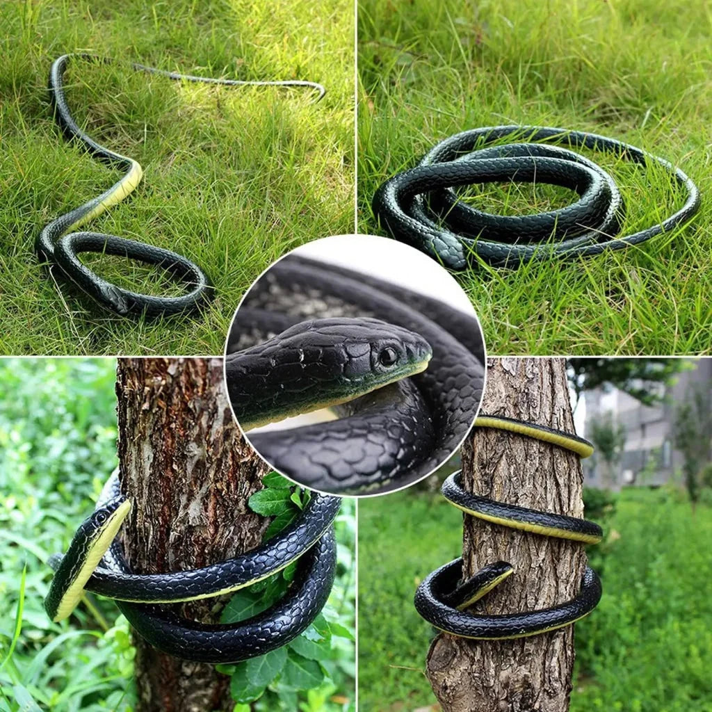 Snake Display Coiled Pose Matte Finish