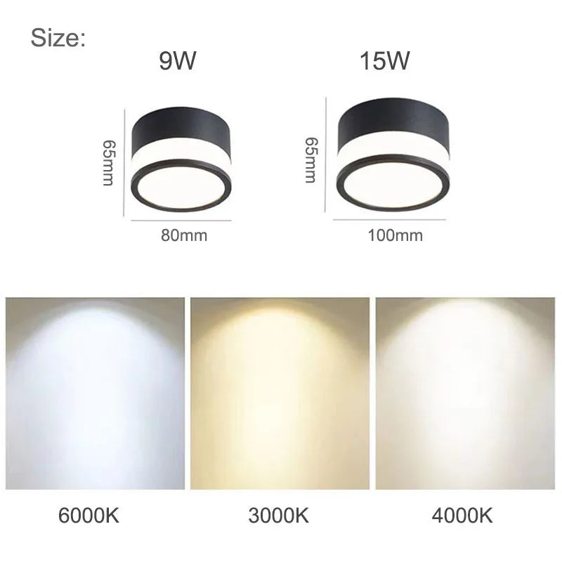 Surface LED Downlight Tight Beam No Ceiling Cut