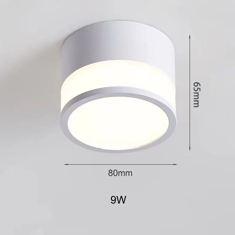Surface LED Downlight Tight Beam No Ceiling Cut