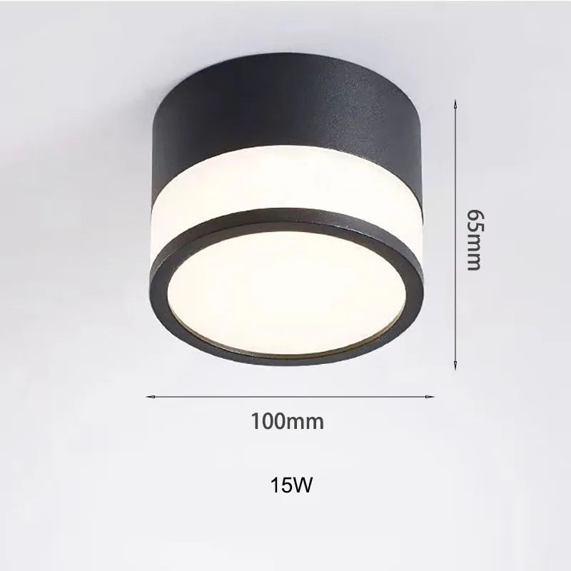 Surface LED Downlight Tight Beam No Ceiling Cut