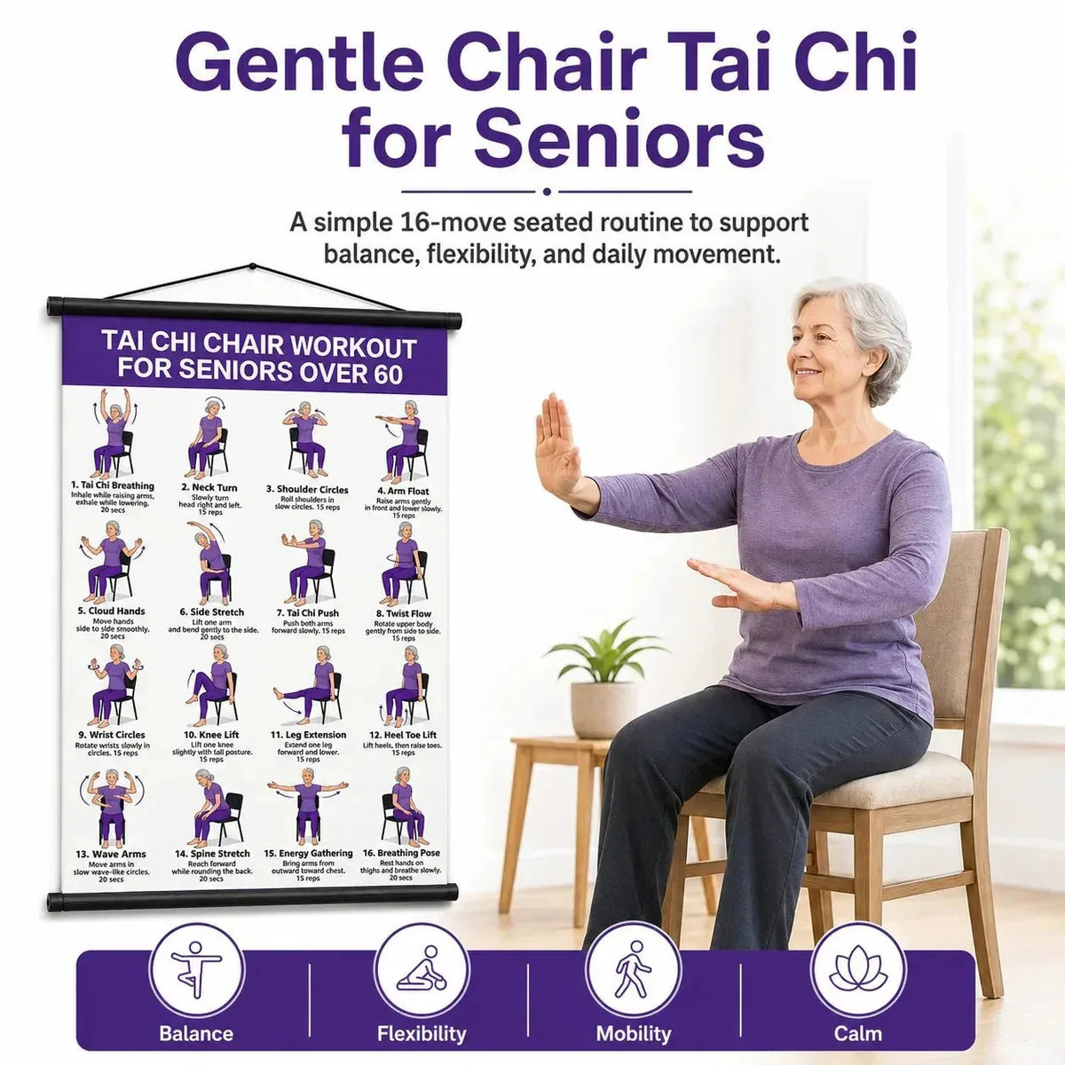 Tai Chi Wall Chart 16 Illustrated Seated Exercises