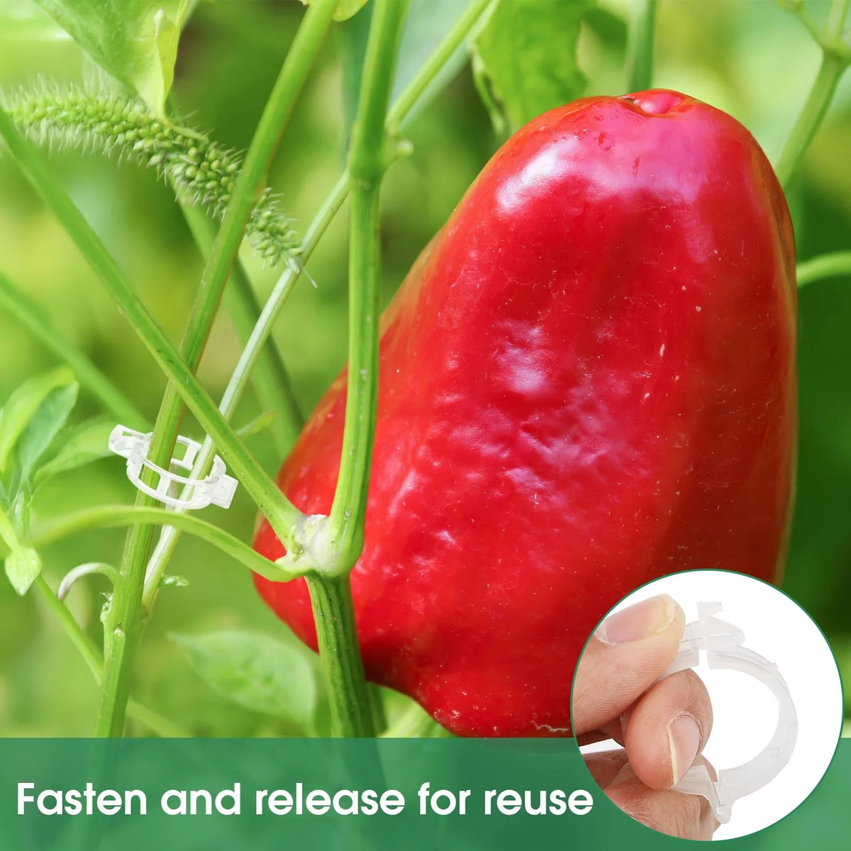 Tomato Plant Clips Snap-On Reusable UV-Resistant Plastic