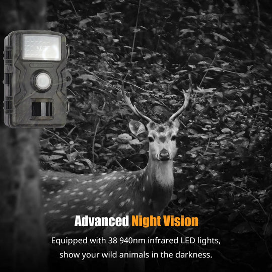 Trail Camera 1080P Night Vision Weather-Resistant