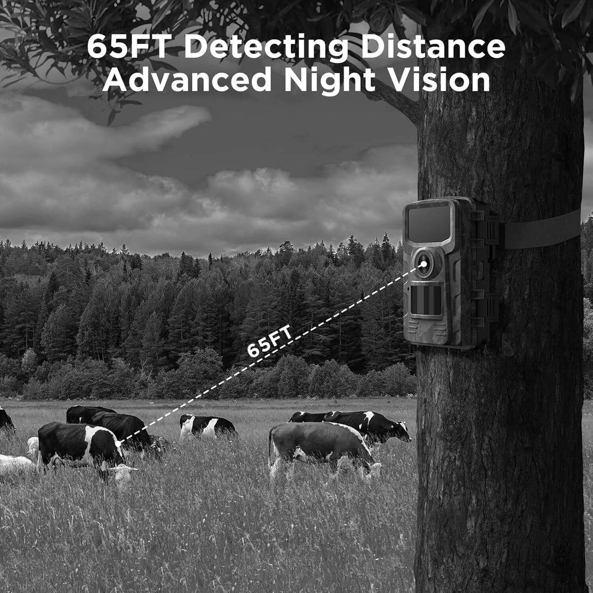 Trail Camera 16MP 1080P Night Vision Motion Activated