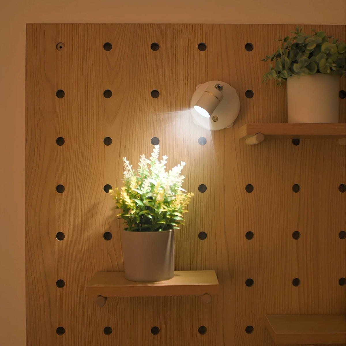 Wall Spotlight Adjustable Aim USB Rechargeable & AA Compatible