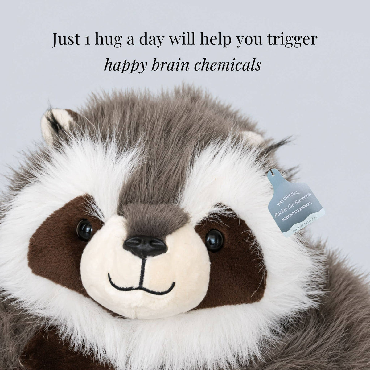 Weighted Raccoon Plush Extra-Long Hugging Arms for Comfort