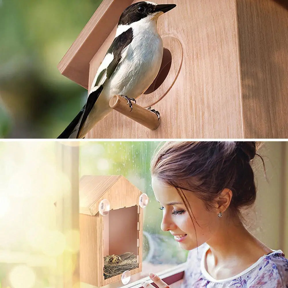 Window Bird Feeder Suction Cup Mount Easy-Clean Design