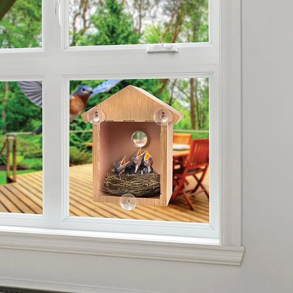 Window Bird Feeder Suction Cup Mount Easy-Clean Design