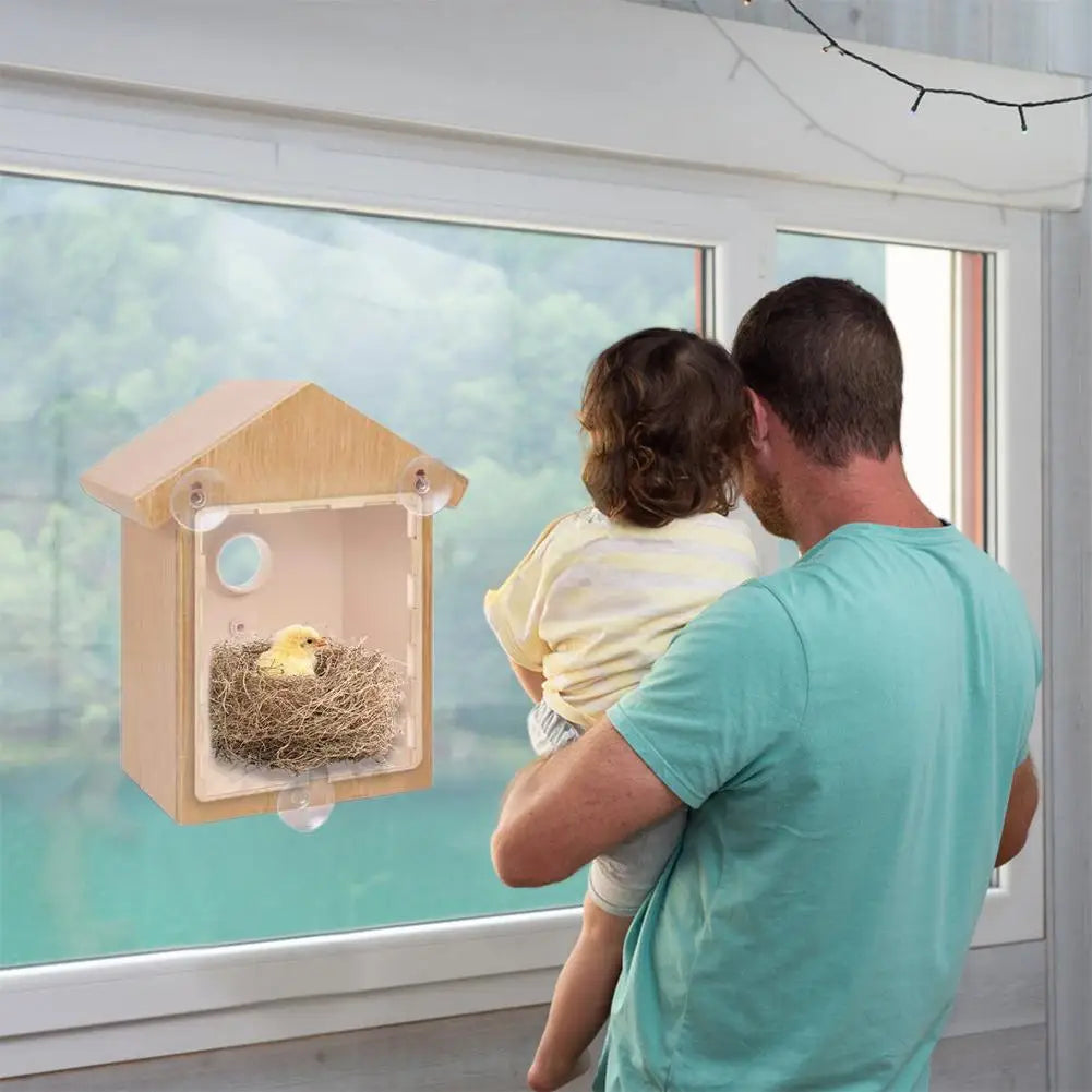 Window Bird Feeder Suction Cup Mount Easy-Clean Design