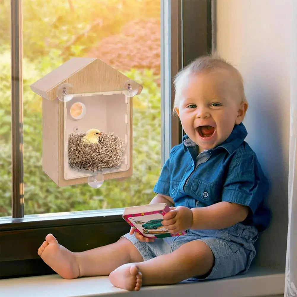 Window Bird Feeder Suction Cup Mount Easy-Clean Design