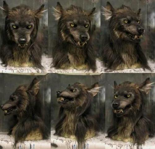 Wolf Mask Realistic Silicone Full-Head Breathable Fit & Synthetic Hair