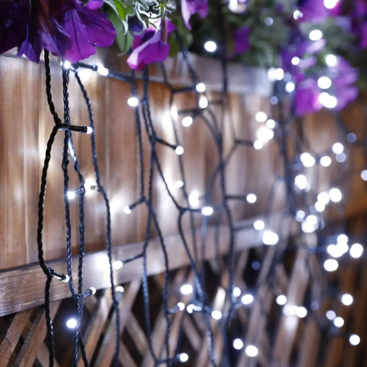 Weatherproof Solar LED String Lights with 8 Lighting Modes