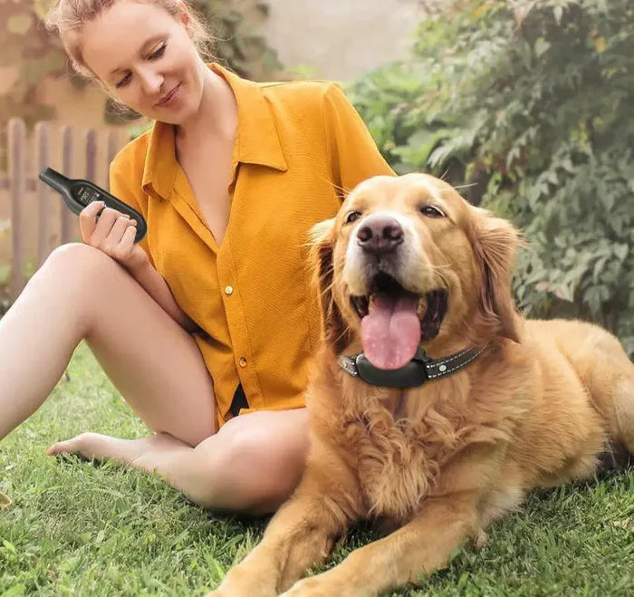 Smart Dog Training Collar with 1000m Range & Custom Modes