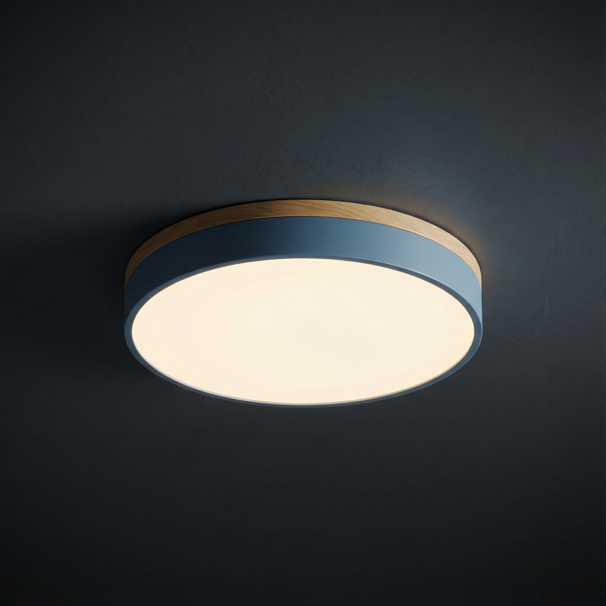 Contemporary Flush Mount LED Ceiling Light Fixture with Dimming Feature