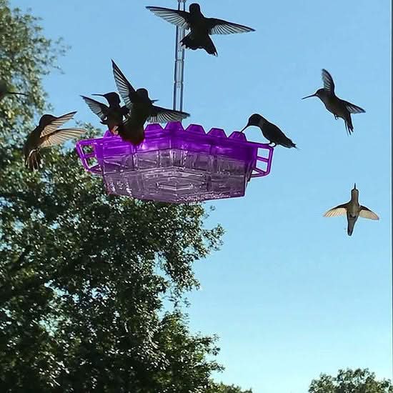 Leak-Proof Bird Feeder Featuring Multiple Perches