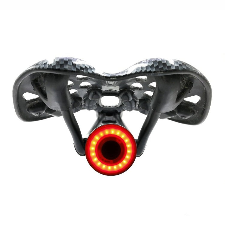 USB Rechargeable Rear Bicycle Light with Brake Detection