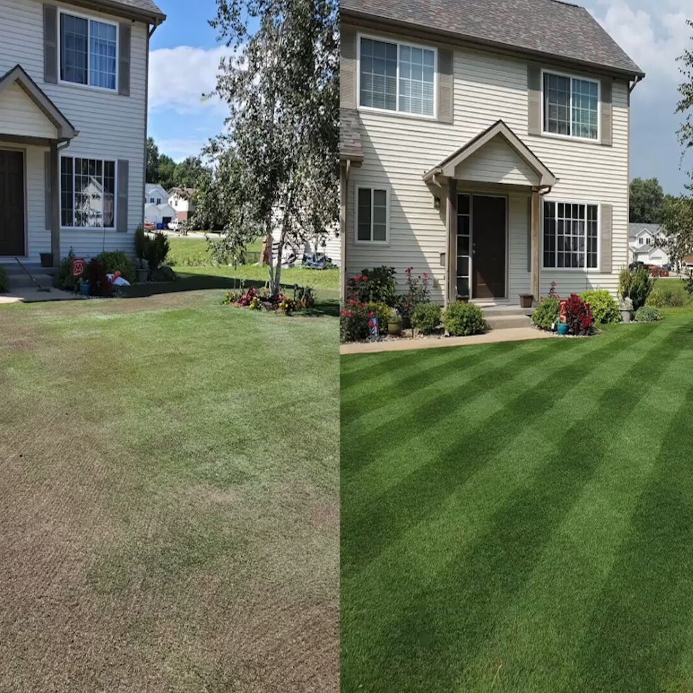 Natural Lawn Renewal Spray with Grass Seed Formula