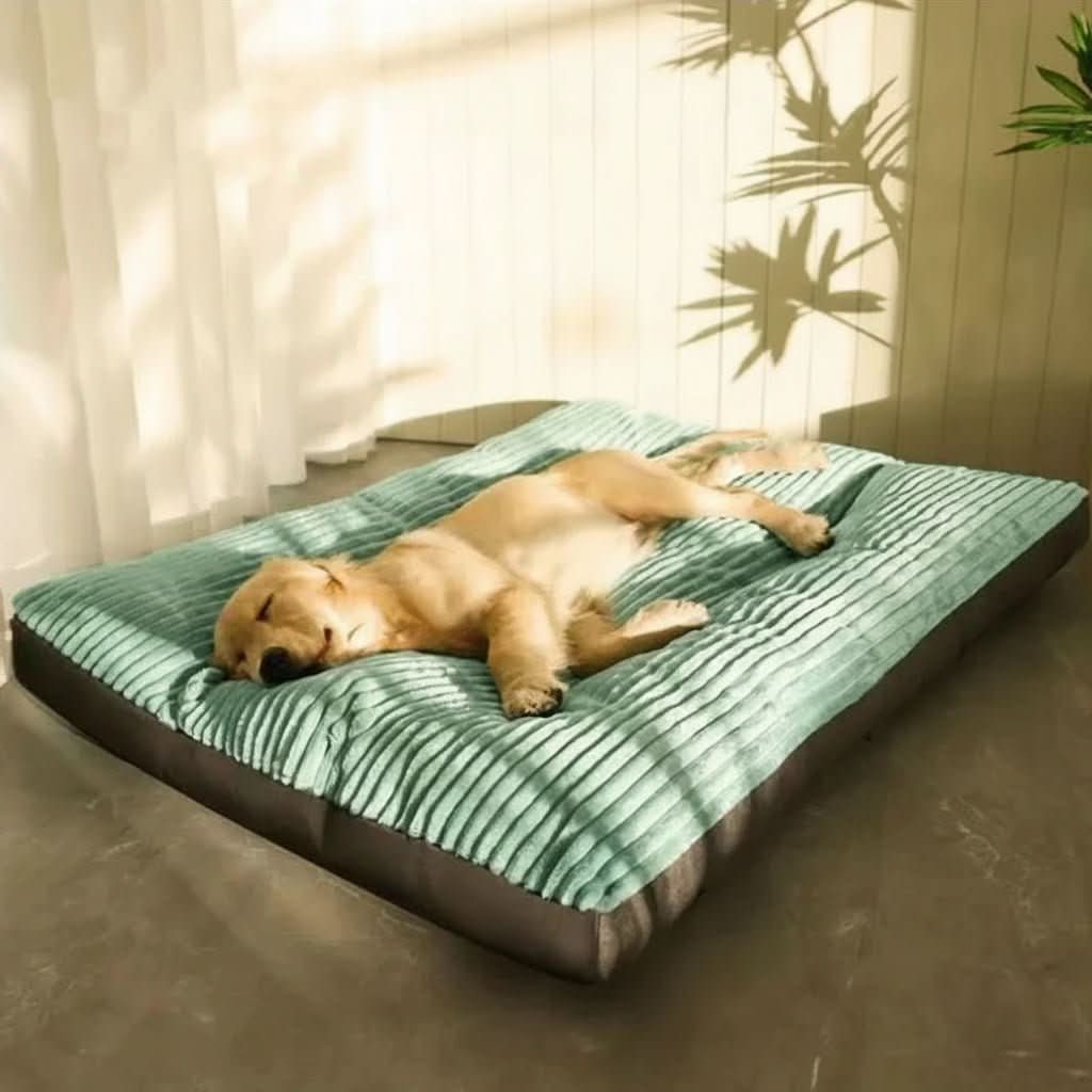 Soft Orthopedic Dog Bed with Joint Support Cushion
