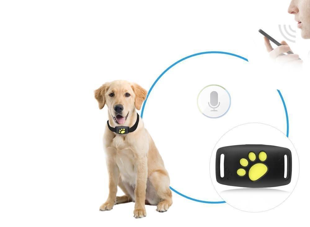 Real-Time GPS Cat Tracker – Pet Locator Device