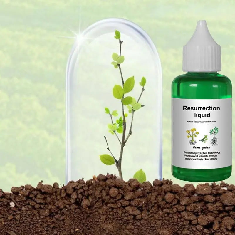 Liquid Activator for Plants and Flowers – Enhanced Root Growth and Blooms
