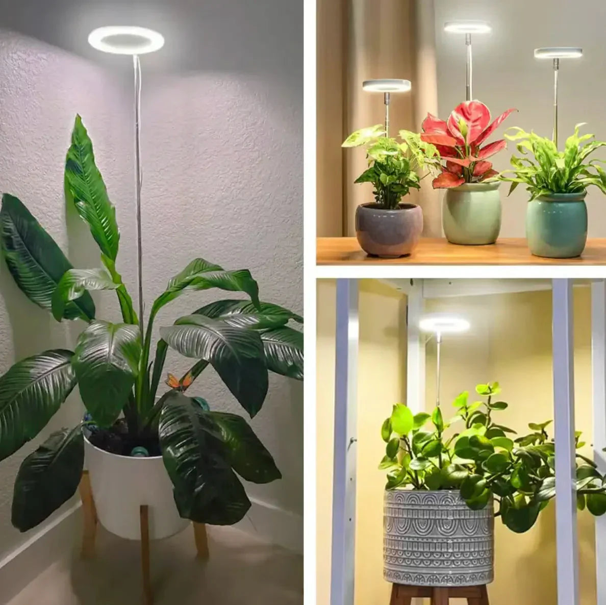 Full Spectrum Plant Growth Lamp with Timer and Dimming Function