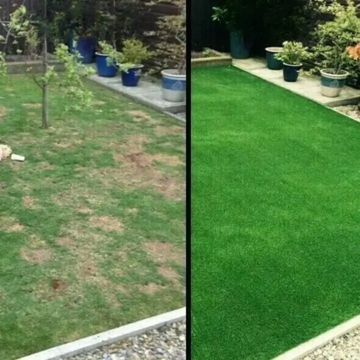 Lawn Turf | Quick Grass Restoration | Alternative to Sod Rolls