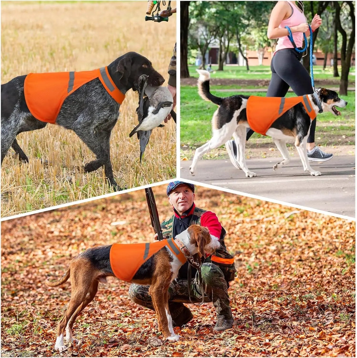 High Visibility Dog Vest for Evening Walks – Reflective Safety Gear