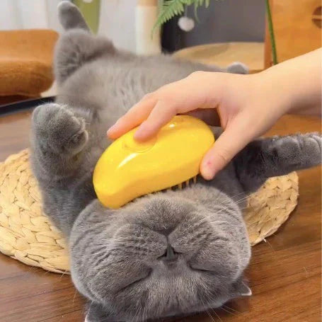 Anti-Static Cat Brush with Spray Feature